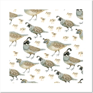 Watercolor Quail pattern Posters and Art